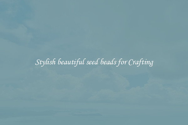 Stylish beautiful seed beads for Crafting