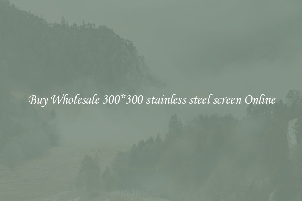 Buy Wholesale 300*300 stainless steel screen Online