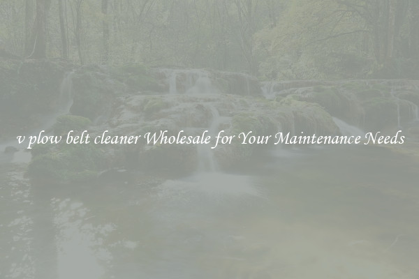 v plow belt cleaner Wholesale for Your Maintenance Needs
