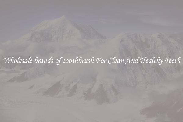 Wholesale brands of toothbrush For Clean And Healthy Teeth