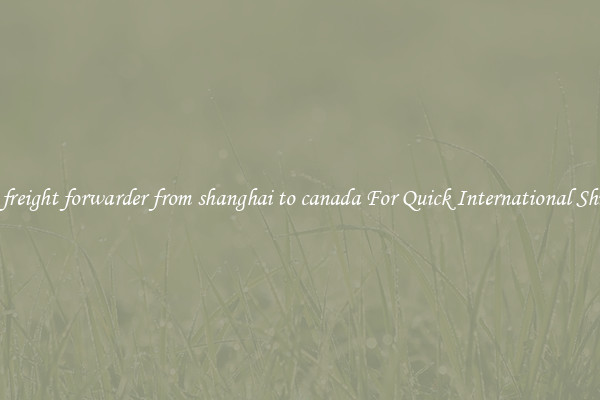 ocean freight forwarder from shanghai to canada For Quick International Shipping