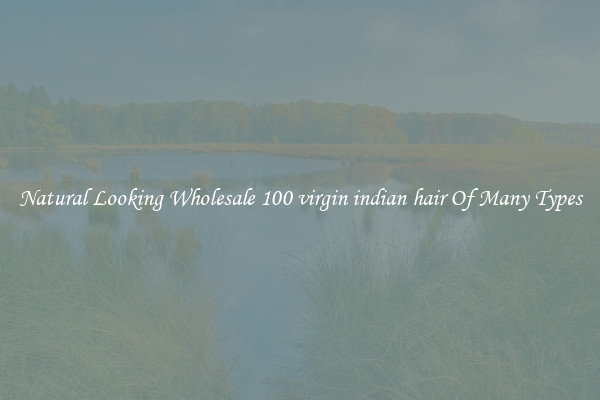 Natural Looking Wholesale 100 virgin indian hair Of Many Types