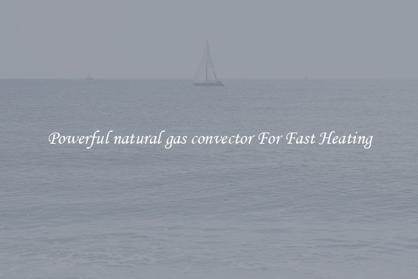 Powerful natural gas convector For Fast Heating