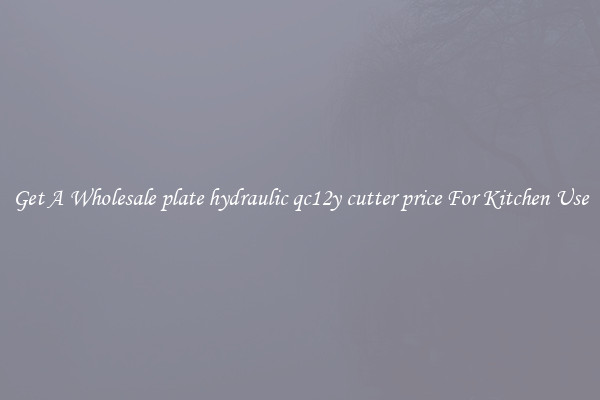 Get A Wholesale plate hydraulic qc12y cutter price For Kitchen Use