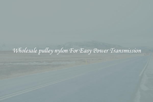 Wholesale pulley nylon For Easy Power Transmission
