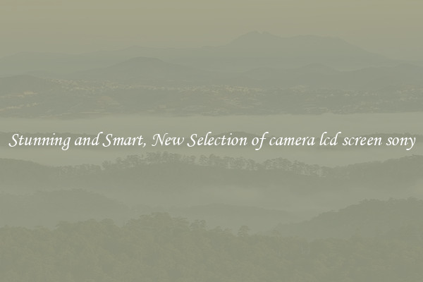 Stunning and Smart, New Selection of camera lcd screen sony