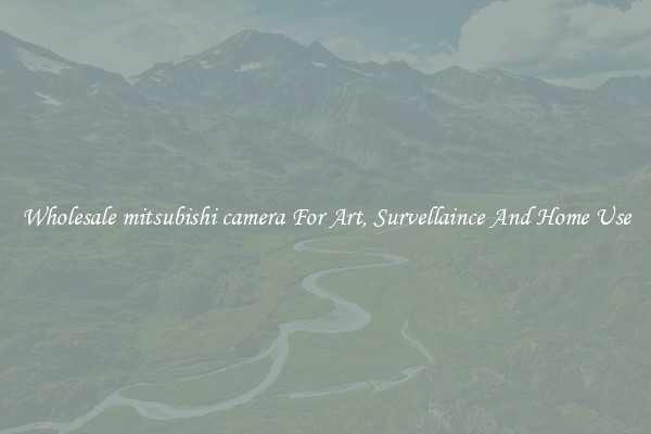 Wholesale mitsubishi camera For Art, Survellaince And Home Use