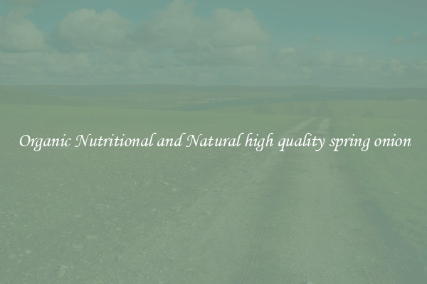 Organic Nutritional and Natural high quality spring onion
