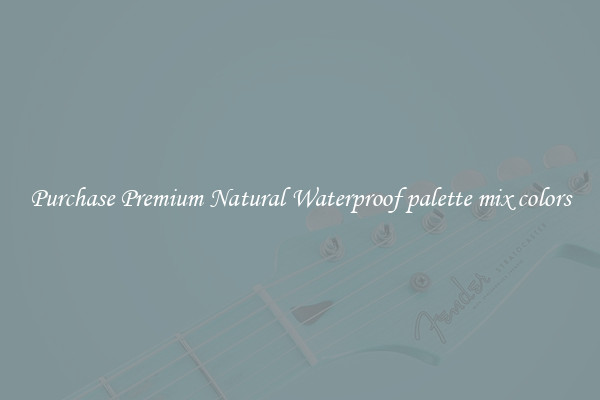 Purchase Premium Natural Waterproof palette mix colors