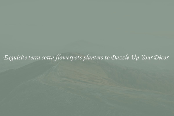 Exquisite terra cotta flowerpots planters to Dazzle Up Your Décor  