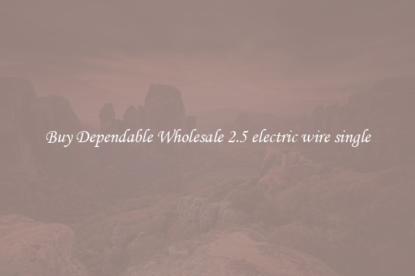 Buy Dependable Wholesale 2.5 electric wire single
