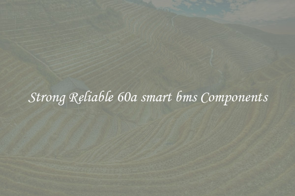 Strong Reliable 60a smart bms Components
