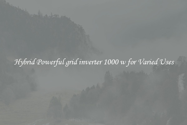 Hybrid Powerful grid inverter 1000 w for Varied Uses