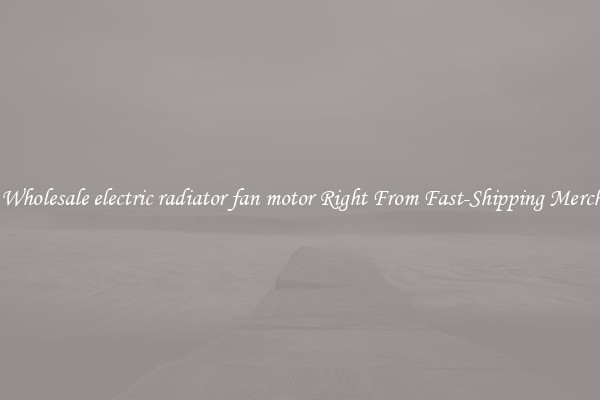 Buy Wholesale electric radiator fan motor Right From Fast-Shipping Merchants